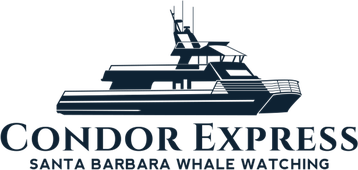 Condor Express